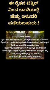 841K views · 12K reactions | #krishibelaku #bananacultivation #bananafarming | Krishi Belaku | Facebook