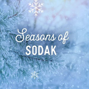 25K views · 980 reactions | As we ring in the new year, our cities and natural places become even more photogenic as a snow-covered wonderland. Keep virtually exploring South Dakota for more winter inspiration! | Travel South Dakota | Facebook