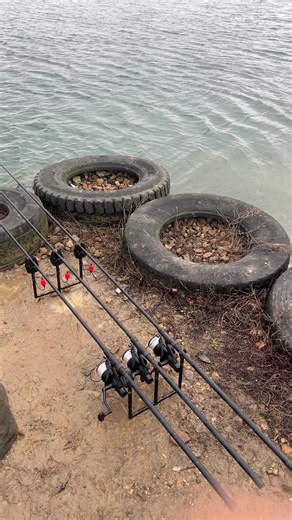 Winter Carp Fishing Tactics