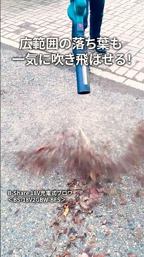 【大風量】落ち葉集めならこのブロワ！#shorts