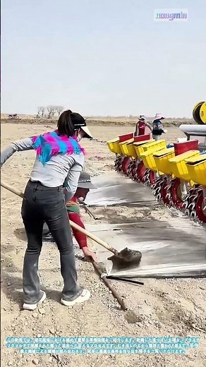 プラスチックと精密さ：農家が綿花栽培のために乾燥した畑を準備する方法