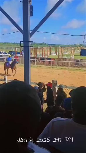 Exploring the Beauty of Irish Eyes