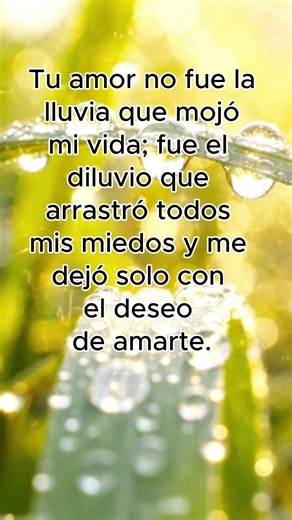 Tu Amor Fue el Diluvio que Cambió Mi Vida | Una Frase de Amor Profunda #amor