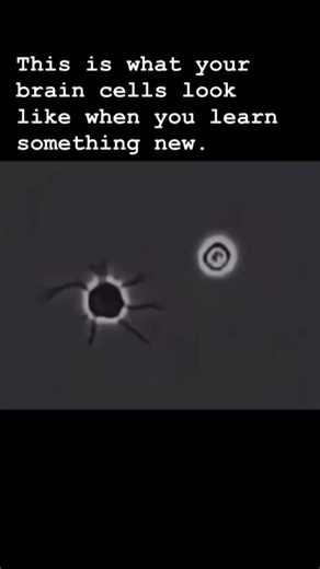 #Canva #knowledge #funnytiktok #physics #funn