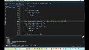 入门c  ——高精度加减