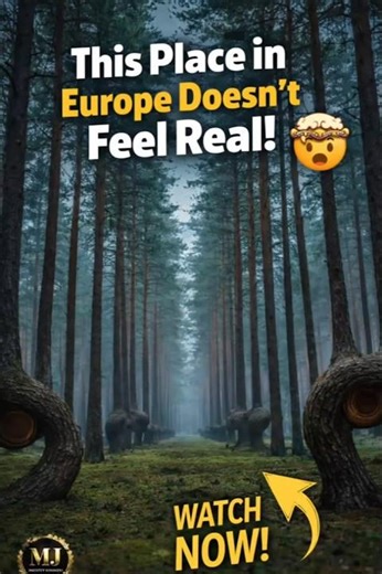 This Place in Europe Doesn't Feel Real! 🤯 #shorts
