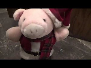 Animated Christmas Pig