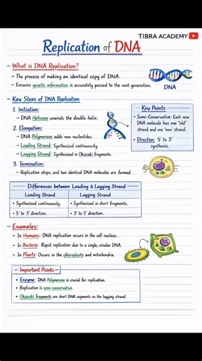 DNA REPLICATION | short Notes | #neet #revision #shorts #notes #biology #boardexam #exam #ytshots