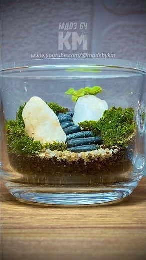 Stunning DIY Moss Terrarium in a Teacup