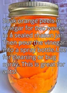 AWESOME idea! source --> http://bit.ly/2qOu9o4 . | Kitchen Crafty Fun