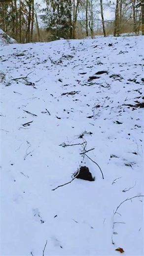 Abenteurer Riesenbauwerk