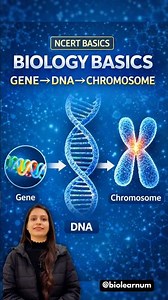 |👉Genes, DNA & Chromosomes | Class 9–10 Biology Basics🧬 | Cell - The Fundamental unit of life🔬|
