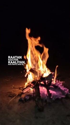 Bonfire Night 🔥 | Relaxing Campfire Video 2026 #trending #bonefire #relaxing #campfire #shortsvideo