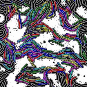 File:Efficient-Multiple-Object-Tracking-Using-Mutually-Repulsive-Active-Membranes-pone.0065769.s003.ogv - Wikimedia Commons