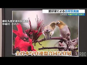 全日本写真連盟 合同写真展 個性溢れる作品が勢揃い 中城村