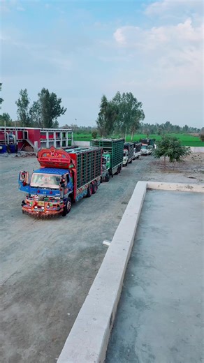 MK Poultry Farming Insights from Muhammad Khan