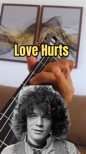 Love hurts - Guitar lesson #fblifestyle | Acoustic violão solo