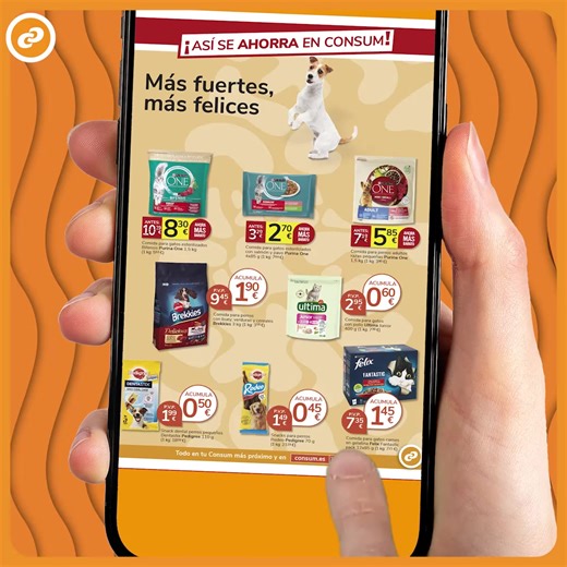 Descarga nuestro folleto digital y descubre nuestras ofertas del mes. ¡Compra online y ahorra con Consum! | Consum