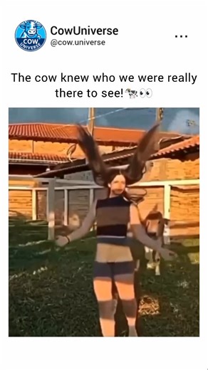 CowUniverse on Instagram: "“Tango the Dancing Cow 🐄💃 Meet Tango, the cow with a love for dance! Every evening, as the sun set and the farm became peaceful, Tango felt the rhythm in the air and couldn’t help but move. 🌅🎶 With every graceful step, her hooves tapped to the beat and her tail swayed in sync with the music. 🎵 One day, the farmer's family hosted a barn dance, and of course, Tango had to join in! She spun, twirled, and outdanced everyone in the room! 💫 By the end of the night, she