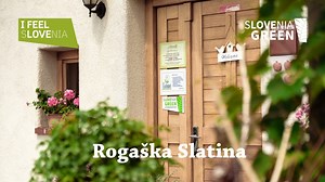 💚Rogaška Slatina is a place of glass production and the unique mineral water Donat Mg. The promenade located between Secession buildings has been connecting the famous health resort with the world-class medical centre for centuries. Pleasant walking trails invite you into nature. 🍃Rogaška Slatina je eno najstarejših zdravilišč, ki se ponaša s številnimi termalnimi in mineralnimi vrelci, z edinstveno mineralno vodo Donat Mg, najbogatejšo vodo z magnezijem na svetu in osrednjim zdraviliškim park