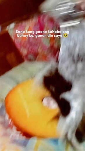 I miss you labbb🥹❤️🐕🐕 | Enriquez Jucoy Chen