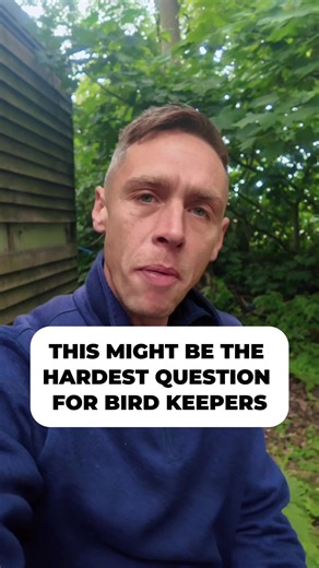 Best Bird Species to Keep for Life — Choose One and Why