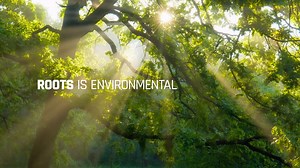 Nidi involves partners who share the same vision of sustainable development. We are excited to collaborate with Domus Line, a leader in the furniture lighting business reaffirming its structured approach in the industry with the transversal ROOTS project. | Nidi