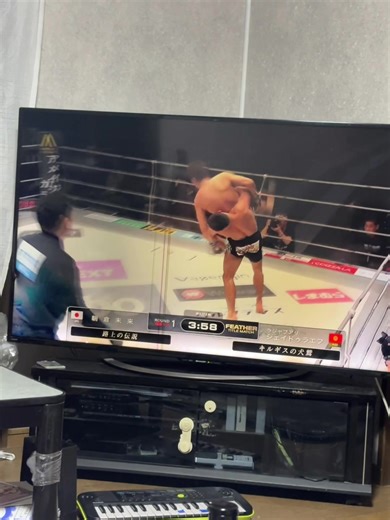 朝倉未来vsシェイドゥラエフ：試合の全貌と結果