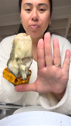 94 reactions · 15 comments | I’m a straight out the shell kinda gal 寧 But when you have left overs it’s the time to be creative. What’s some other flavour combos i could pair with oysters to try? | Cheyenne Josephine Wilson | Facebook