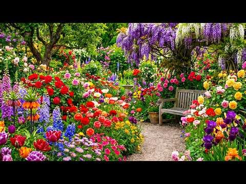 Enchanting Garden Journey 2026 | Colorful Blossoms, Verdant Gardens & Tranquil Moments