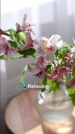 D Relaxing:ดนตรีบรรเลงผ่อนคลาย | ดนตรีบรรเลงเพื่อใจสงบ #เพลงผ่อนคลาย1นาที#relaxingmusic#stressrelief