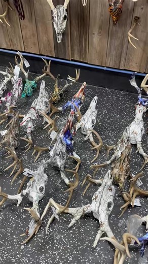 Northwoods European Skull Mounts on Reels