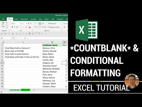 Excel Tutorial COUNTBLANK & Conditional Formatting Blank Cells