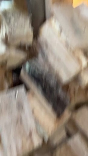 Effective Ways to Get Rid of Carpenter Bees