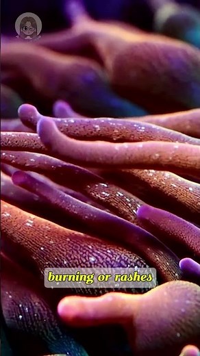 Touch Fire Coral, and You’ll Regret It