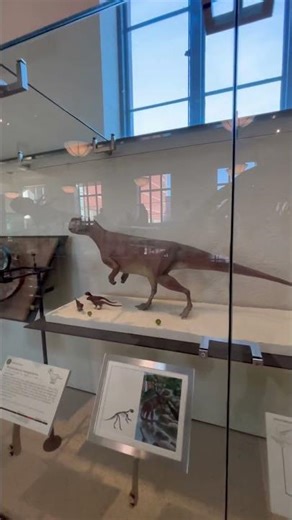 A Day at the American Museum of Natural History