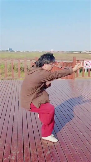 Yan Xing - Swallow Form, Song Style Xingyi Quan, Zhang Guoli #songstylexingyi #xingyi #xingyiquan