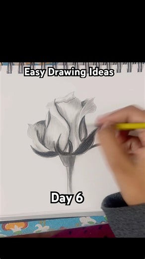 Flower Drawing Easy Rose drawing #charcoal #drawing #flower #charcoalart #pencildrawing #easy #viral