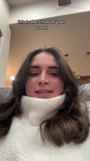 Bluey: The Beloved Show for Families