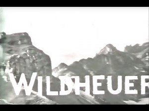 Alpine Haying - Silent documentary about Wildheuen in Switzerland