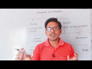 structure of ecosystem||structure of ecosystem in hindi||structure of ecosystem evs||ecosystem