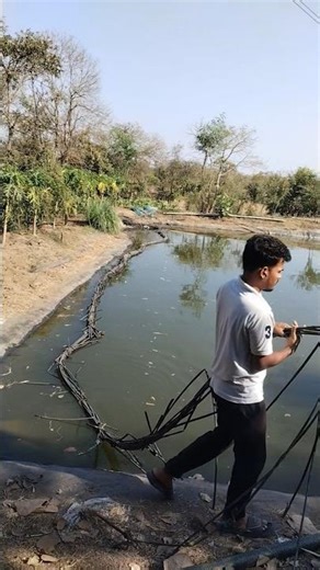 removing Floating westage from the Pond desi jugad