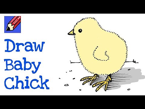 Draw a Baby Chick Real Easy