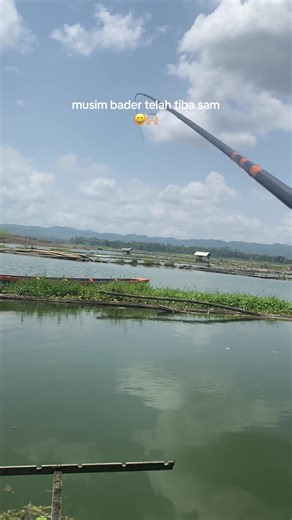Cara Mancing Microfishing dan Memasak Ikan Bader