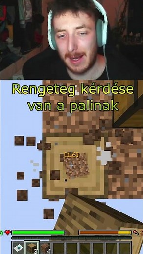 Rengeteg kérdése van a palinak One Block Minecraft modhoz💀