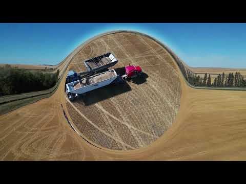 Sanden Harvest 2025 - Gleaner Combines