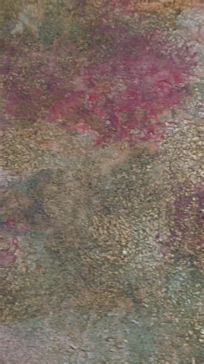 Sandra Duran Wilson on Reels