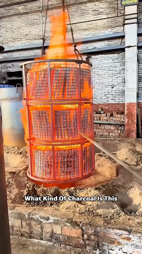 Exploring the Diverse Types of Charcoal