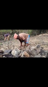 And we rebuilt a small damaged stone check dam downstream .. It has been two years since Mari has flown from here .. hoping little mercy this year .. | Piyush Manush