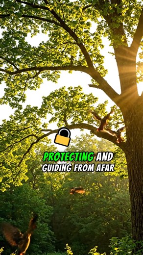 11K views · 1.1K reactions | How Cardinals Care for Their Babies﫠 #CardinalBird #RedCardinal #CardinalLove #CardinalVibes #CardinalBeauty #CardinalMoment #CardinalSpirit | Cardinal lovar community | Facebook